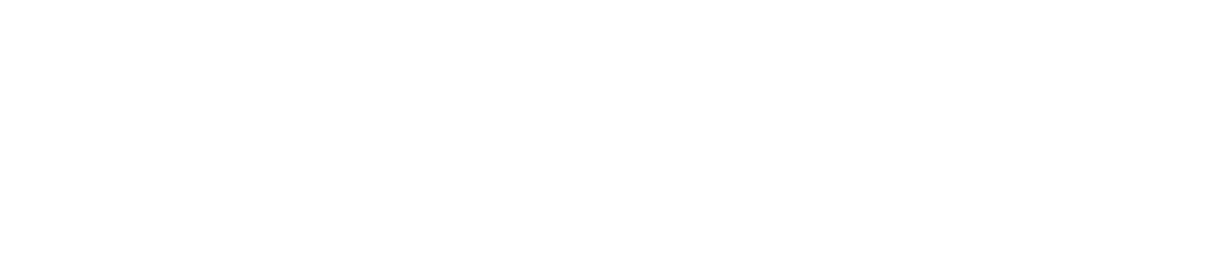 Logo da DokeHost em branco