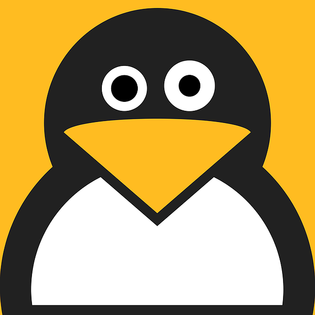 O que é uma VPS Linux?
